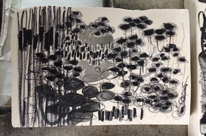 Litho2_Hen_Coleman_2014.jpg