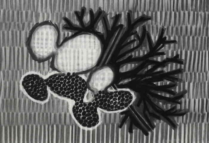 archive of an edge I, 2014 / charcoal on paper / 66cm x 52cm
