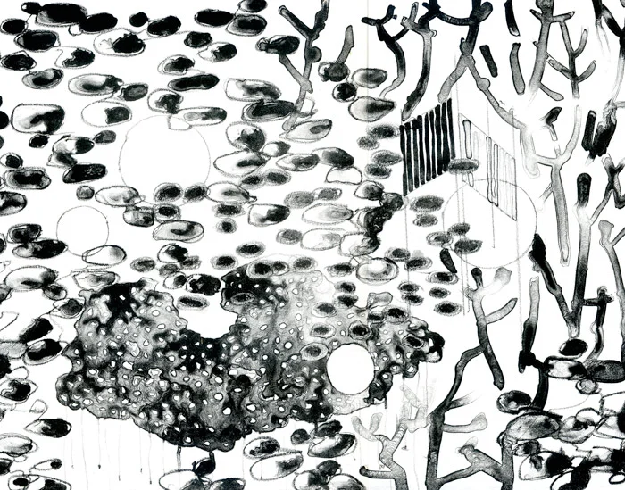 Lithograph_Ghosted_Hen_Coleman.jpg