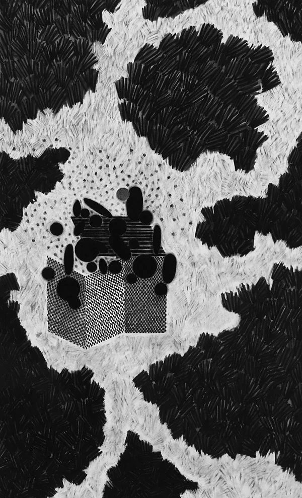 borges' garden, 2014 / charcoal on paper / 89cm x 144cm