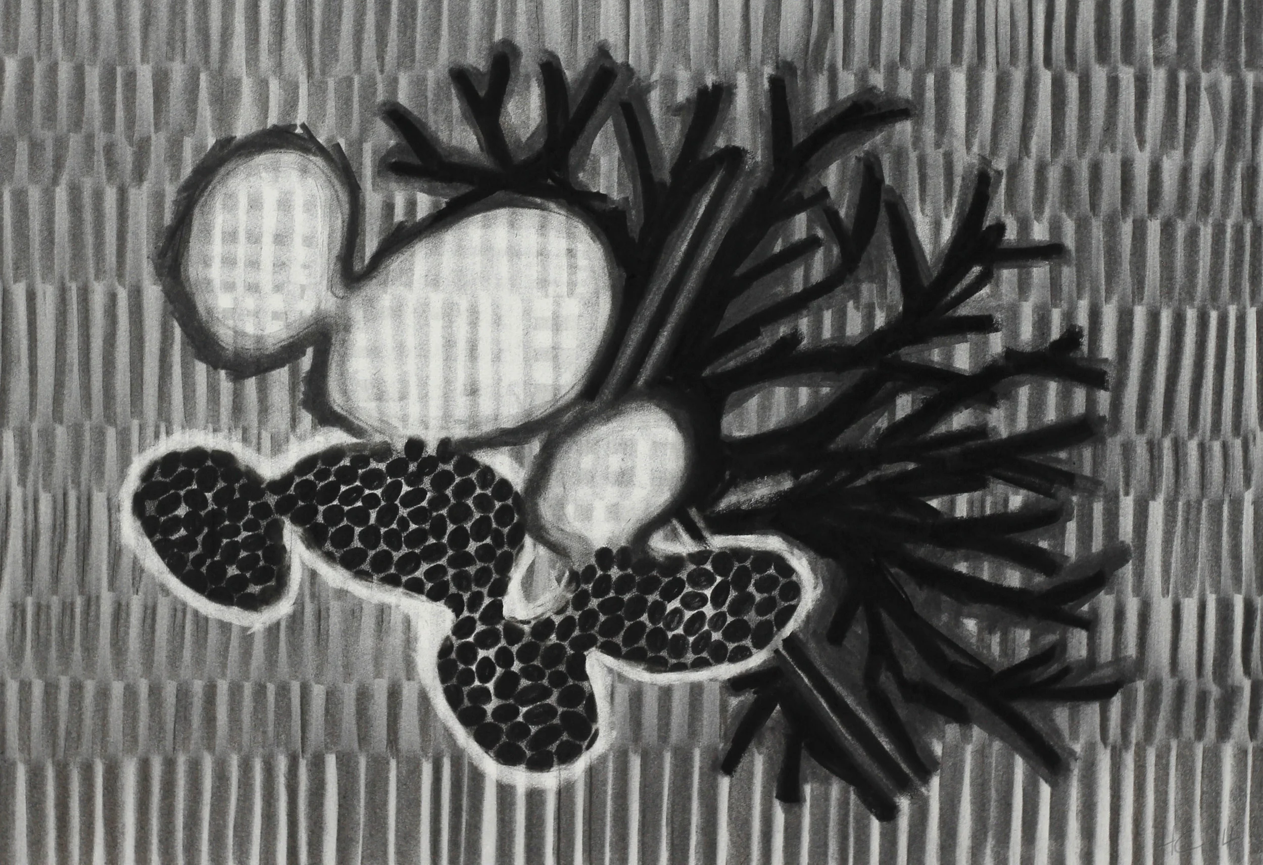 Archive of an Edge / Charcoal Drawing