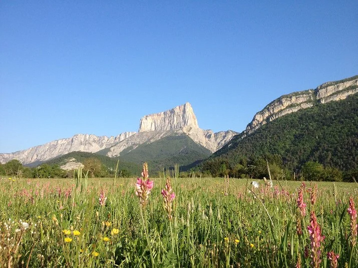 Le mont aiguille depuis un champ du Trièves