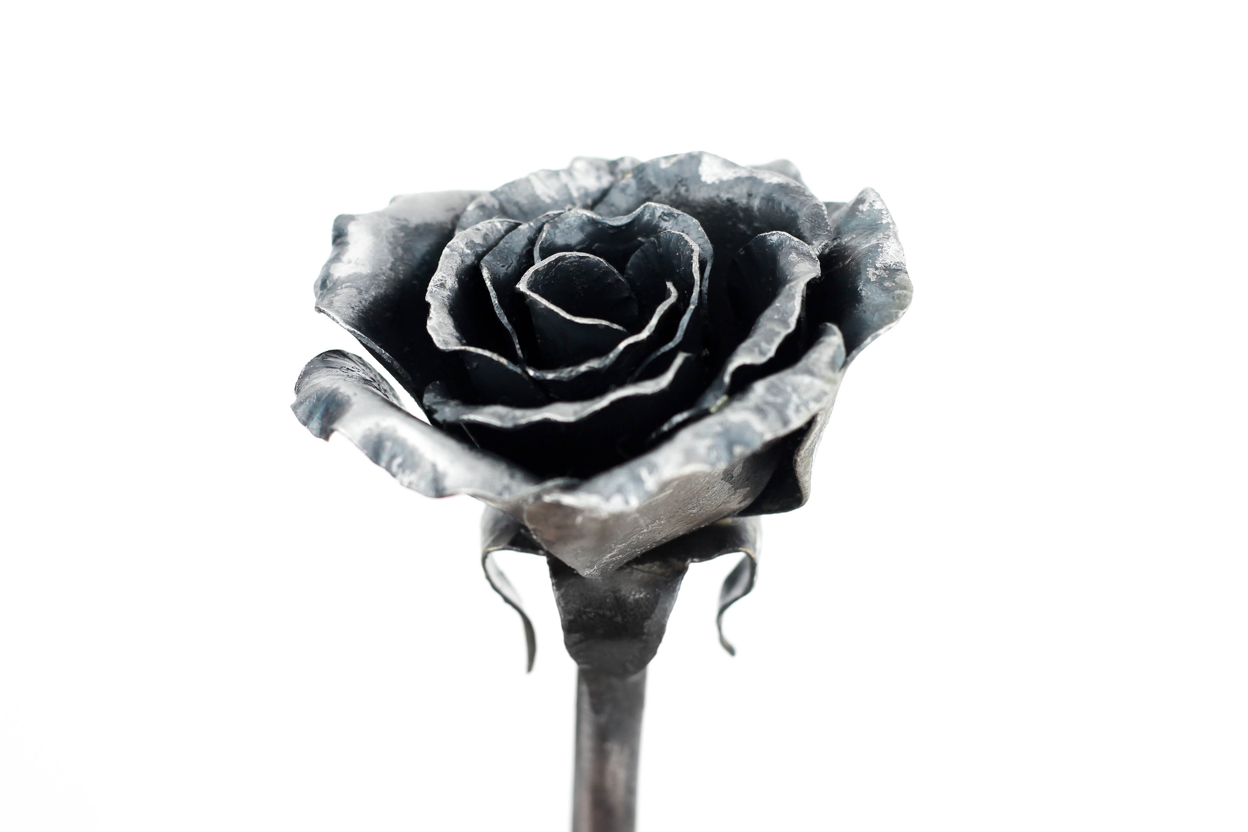 Everlasting Rose — Black Dog Ironworks