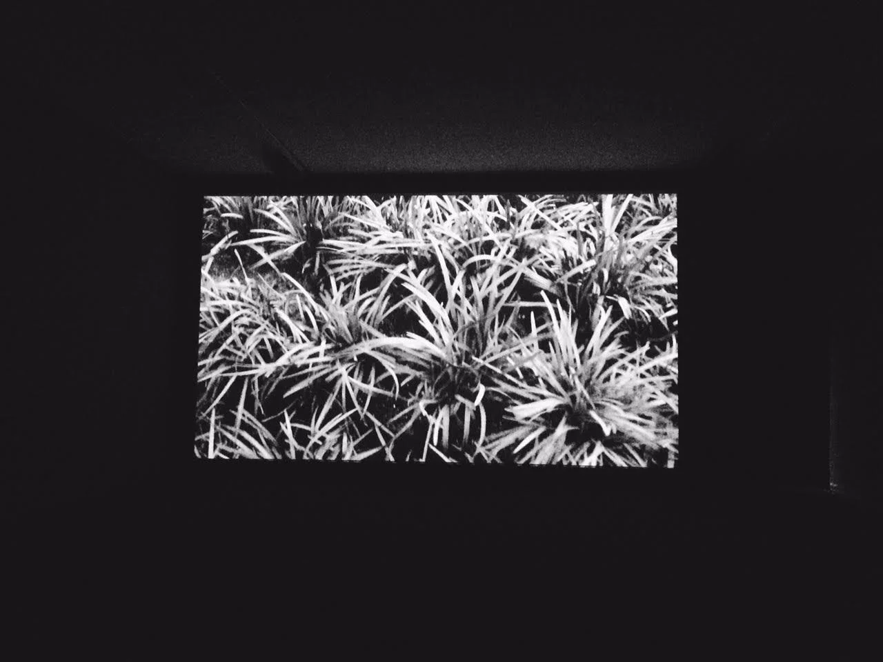 Kulturalnie w Berlinie