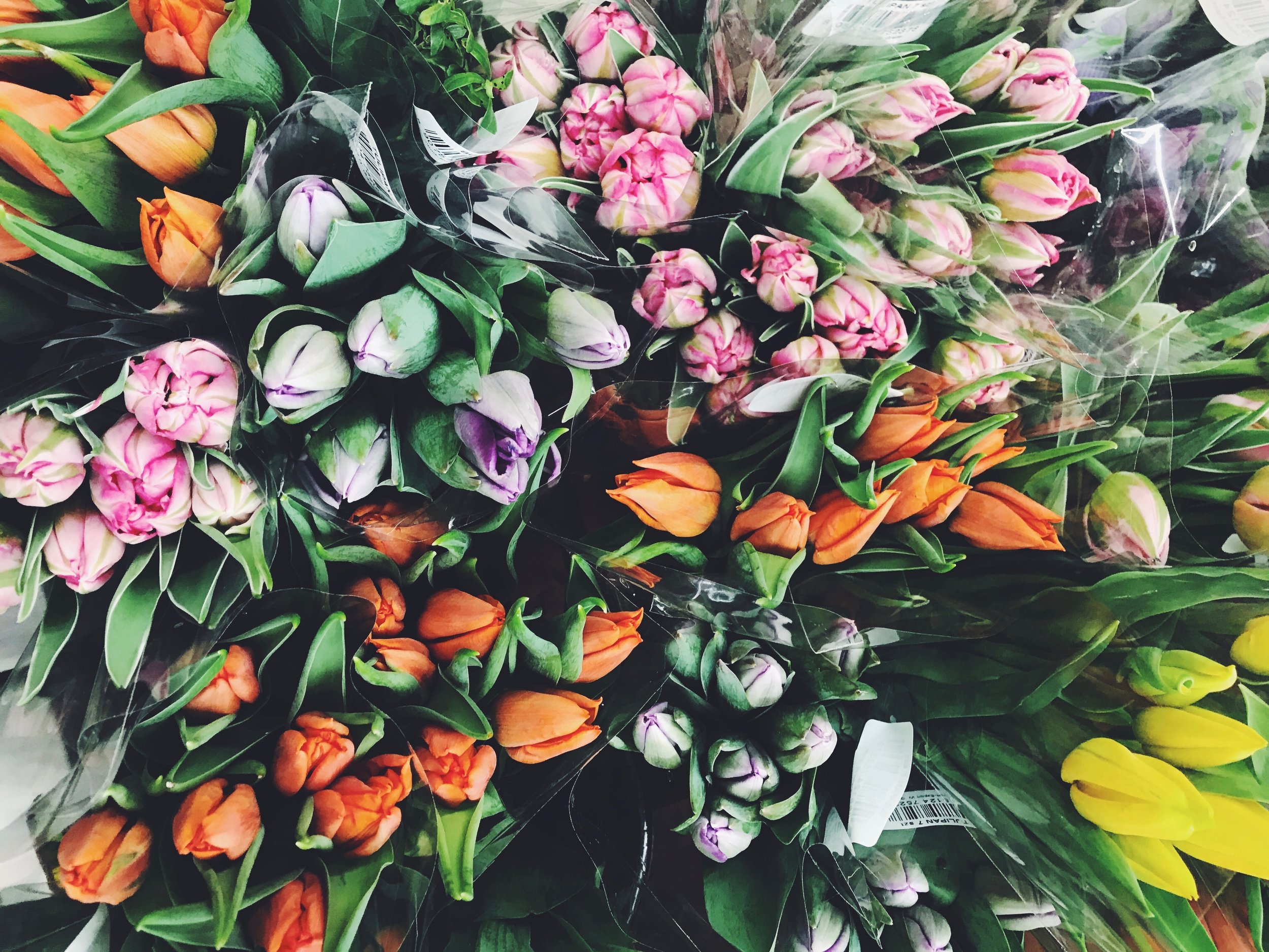 Processed with VSCO with f2 preset