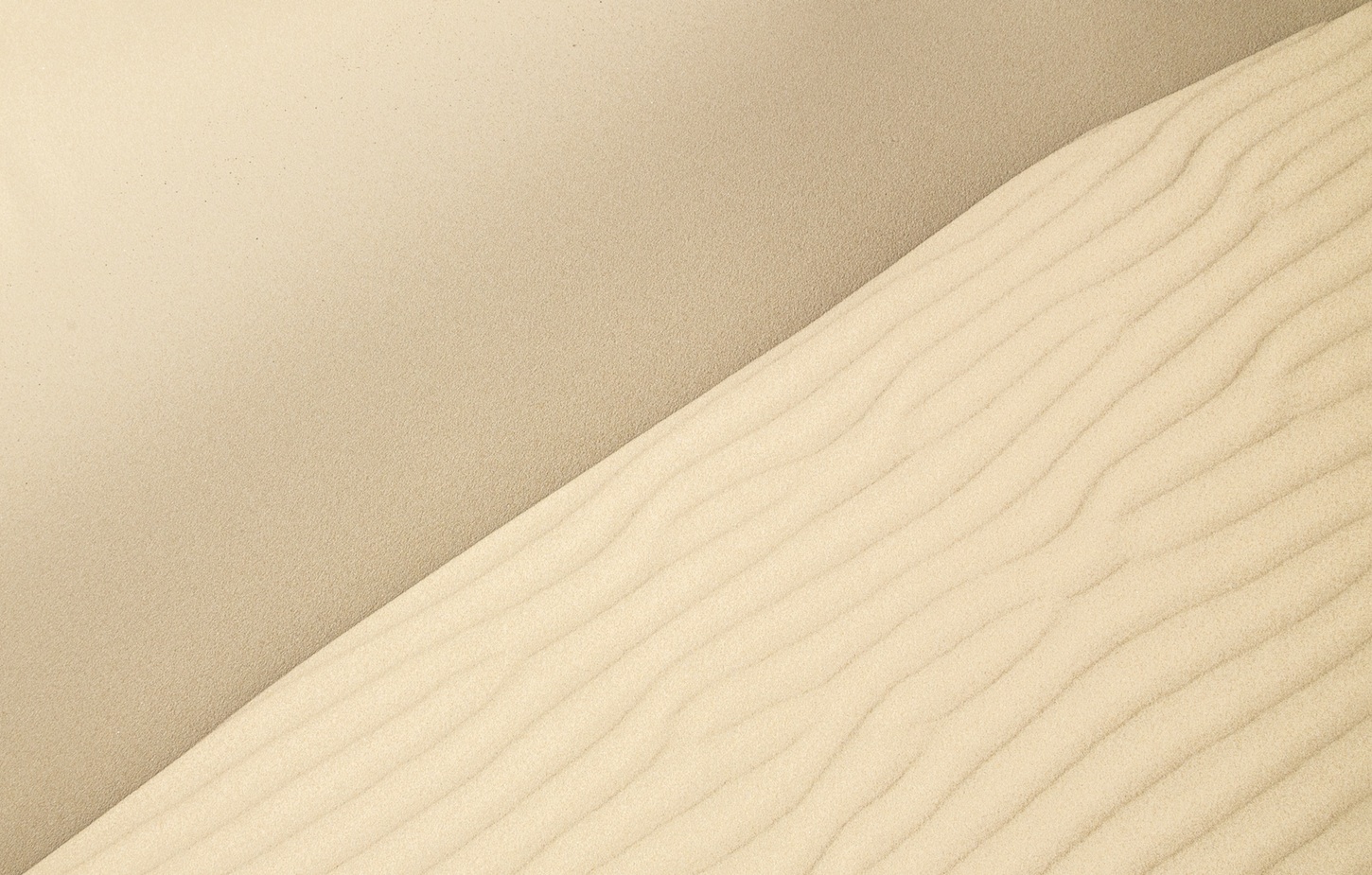 Samuel Scrimshaw Unsplash
