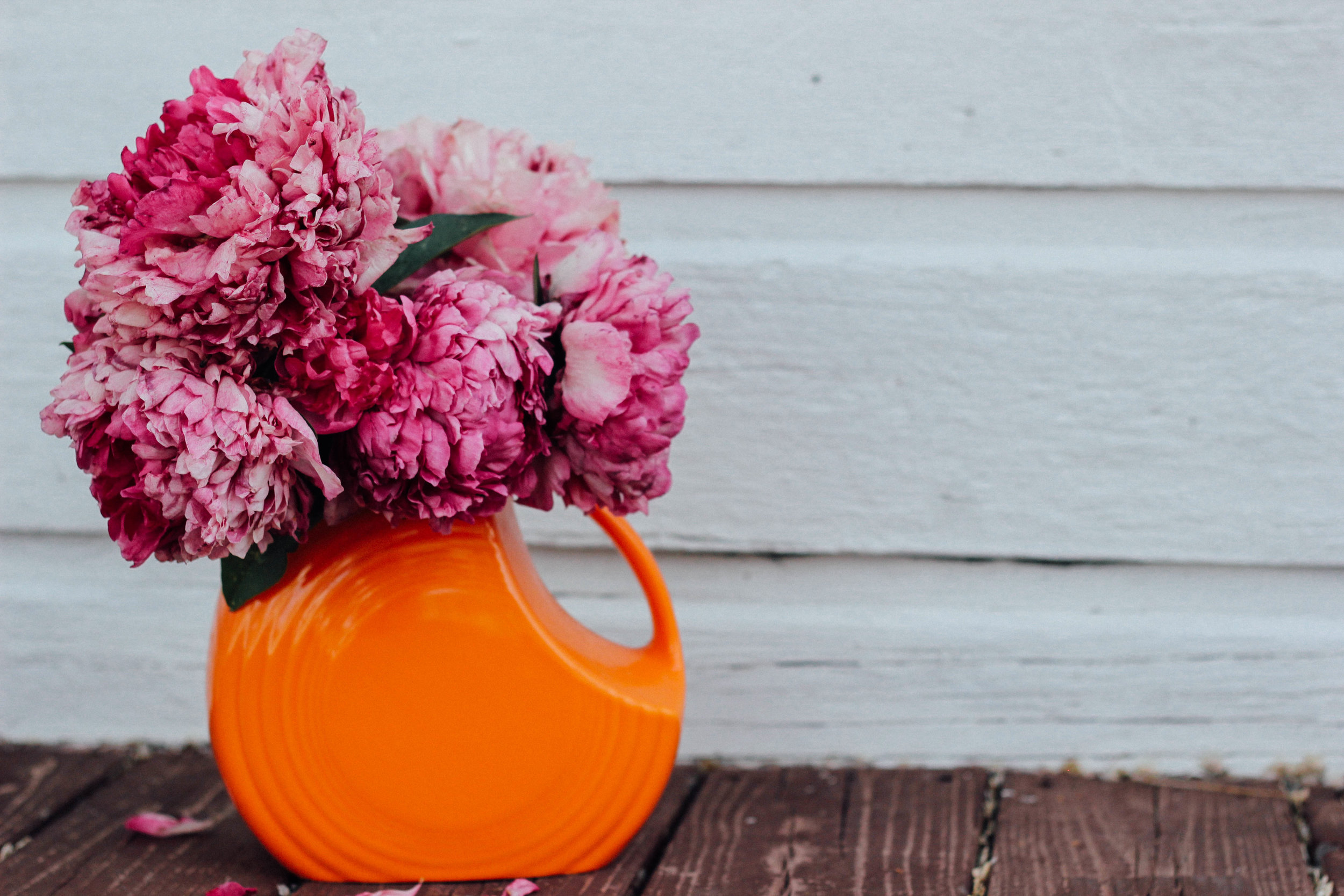 Flowers by Meg Neilson
