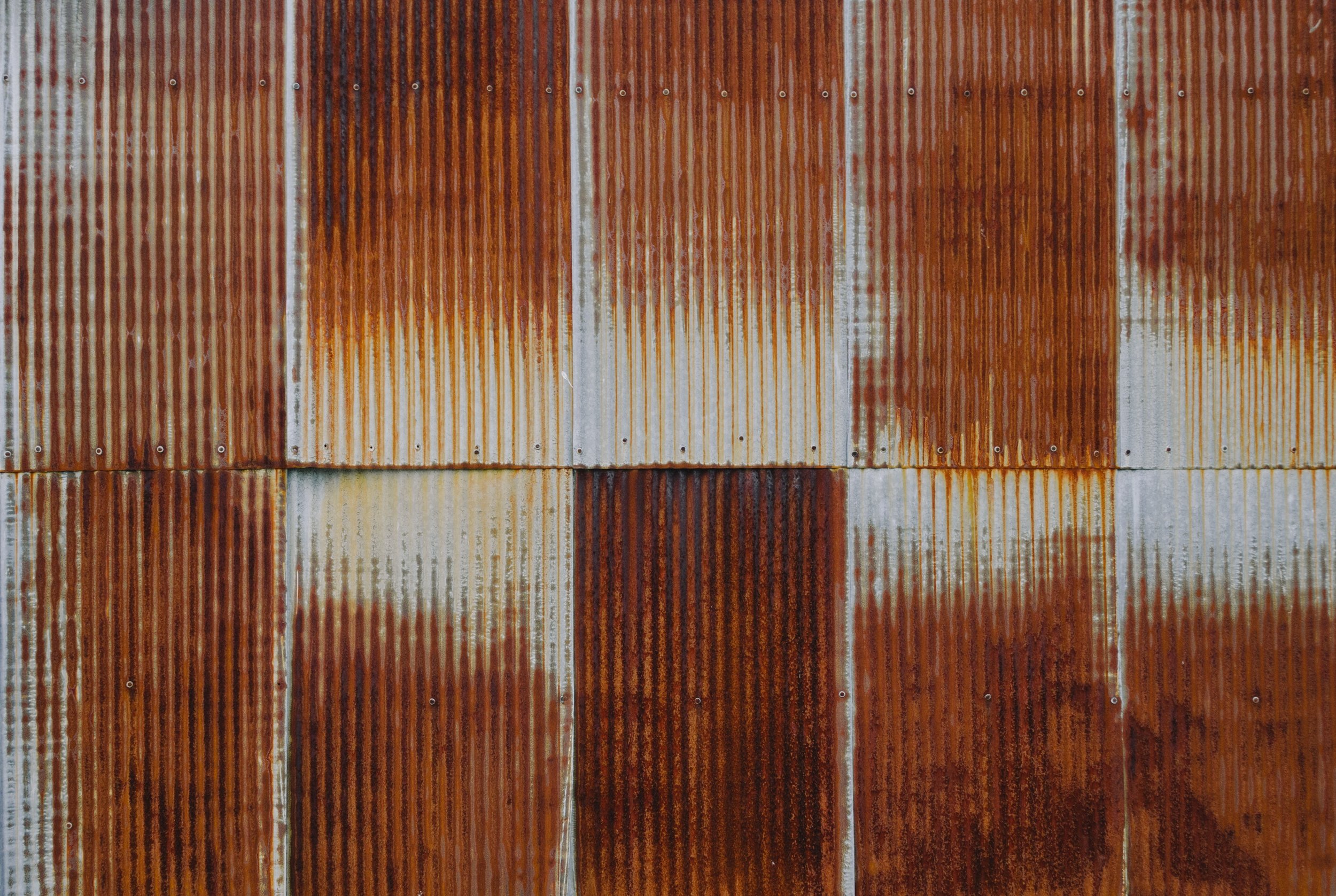 Photo by Kelly Sikkema on Unsplash