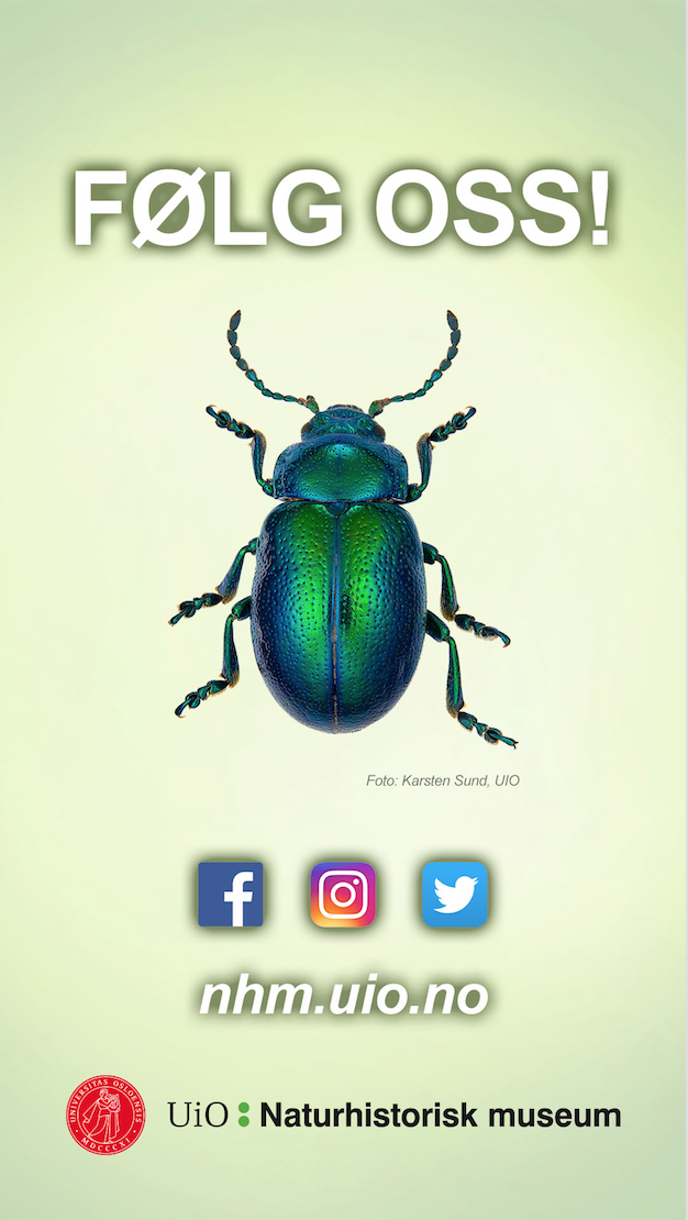 Skjermbilde 2017-06-09 kl. 11.48.50.png