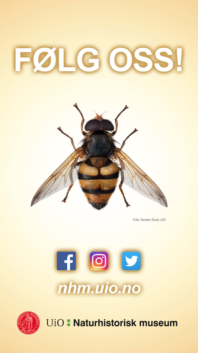 Skjermbilde 2017-06-09 kl. 11.49.03.png