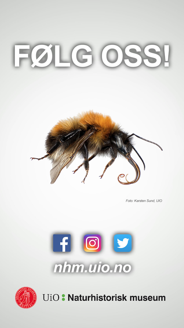 Skjermbilde 2017-06-09 kl. 11.49.39.png