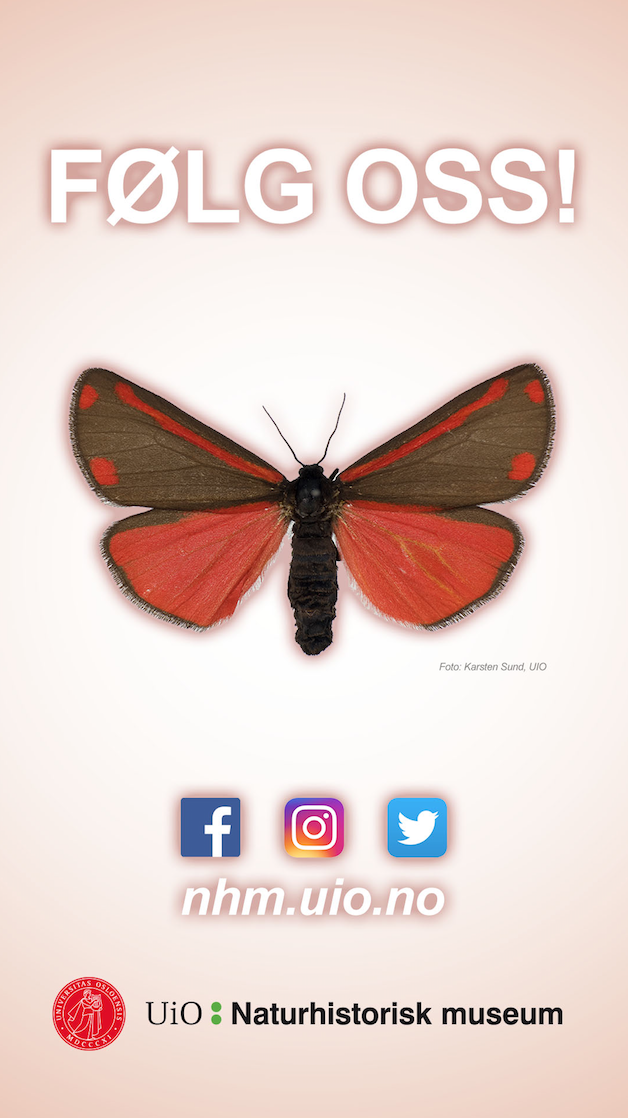 Skjermbilde 2017-06-09 kl. 11.49.20.png