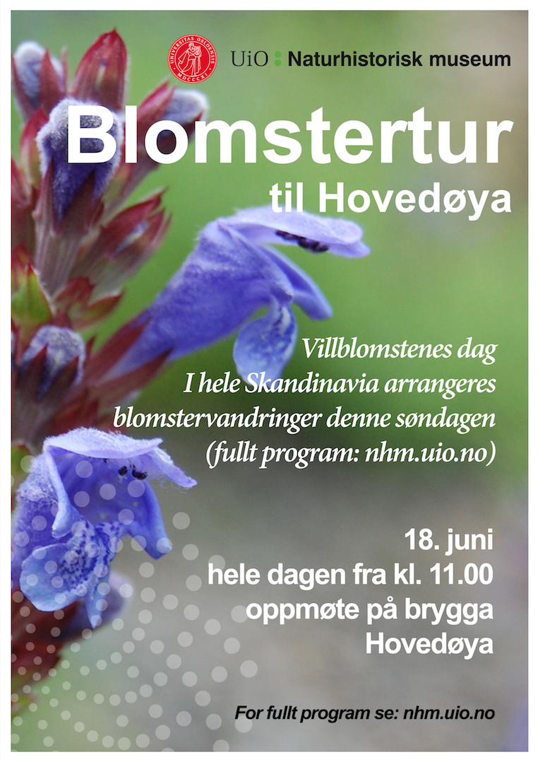 Skjermbilde 2017-06-09 kl. 11.51.35.png