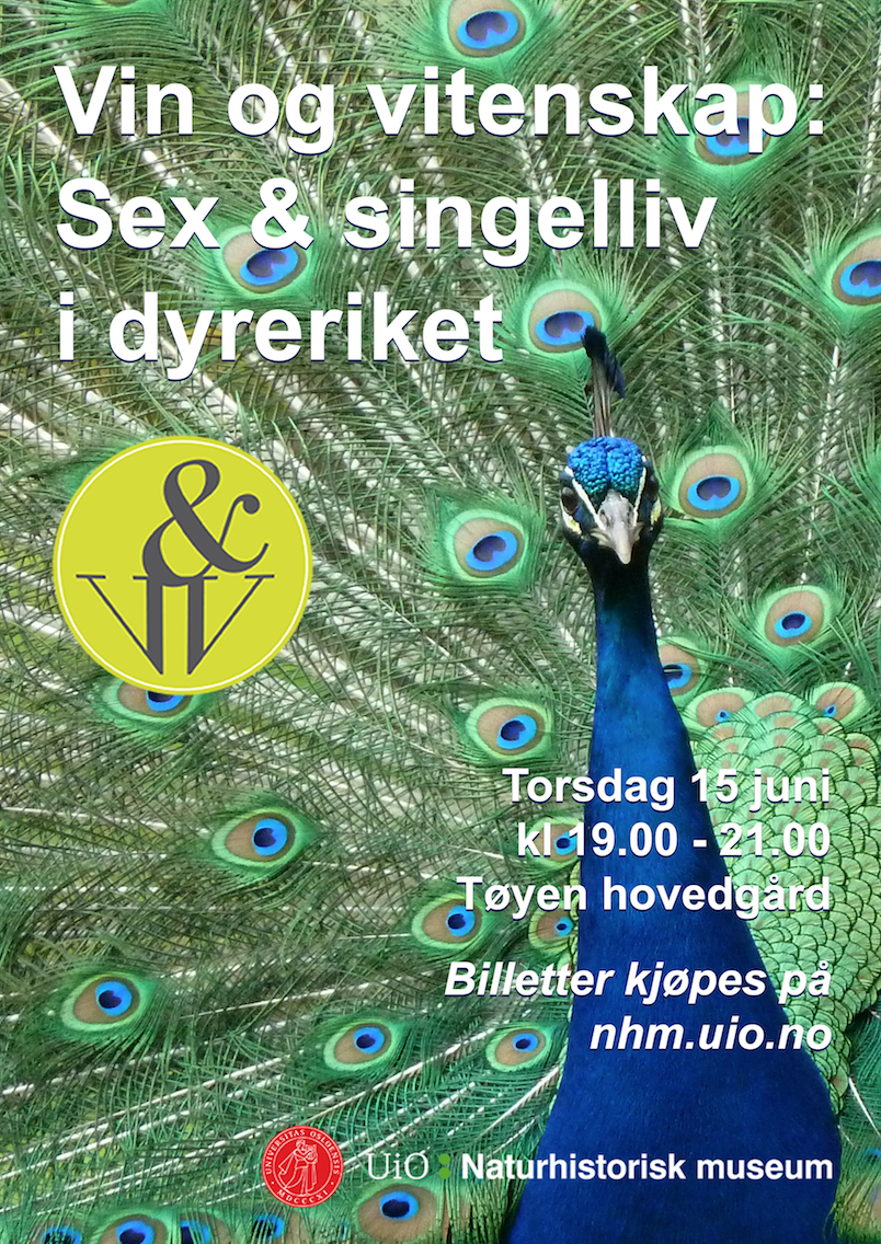 Skjermbilde 2017-06-09 kl. 11.50.49.png