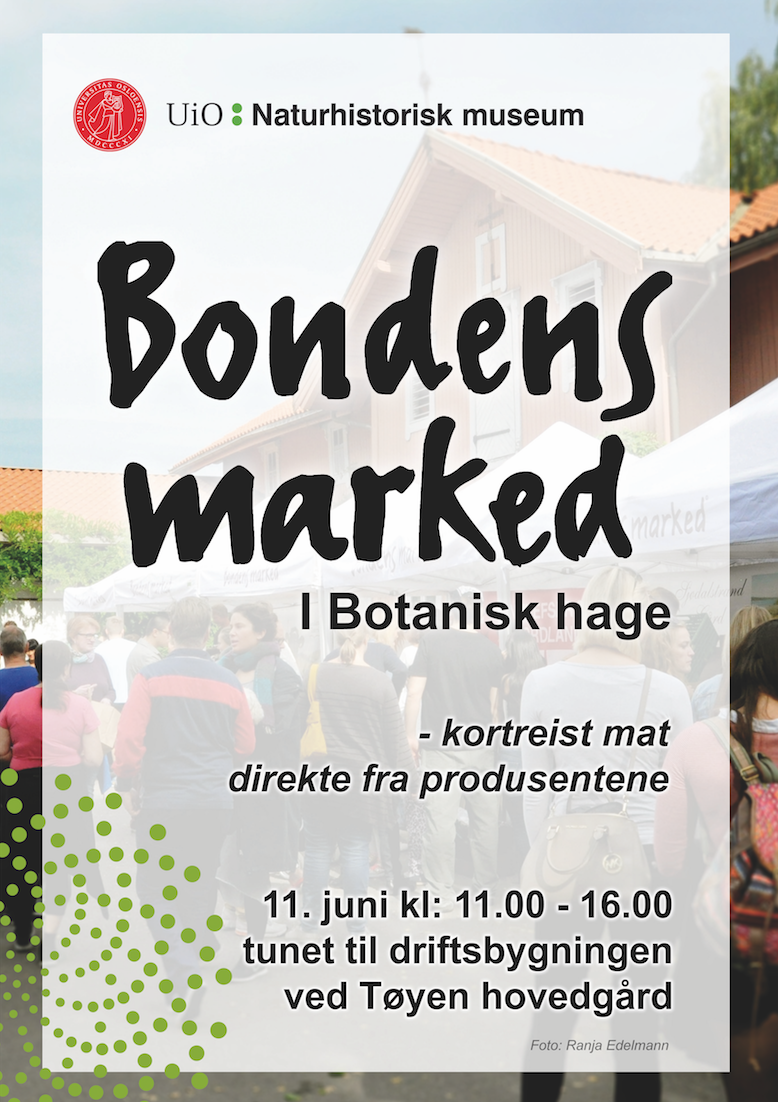 Skjermbilde 2017-06-09 kl. 11.52.04.png