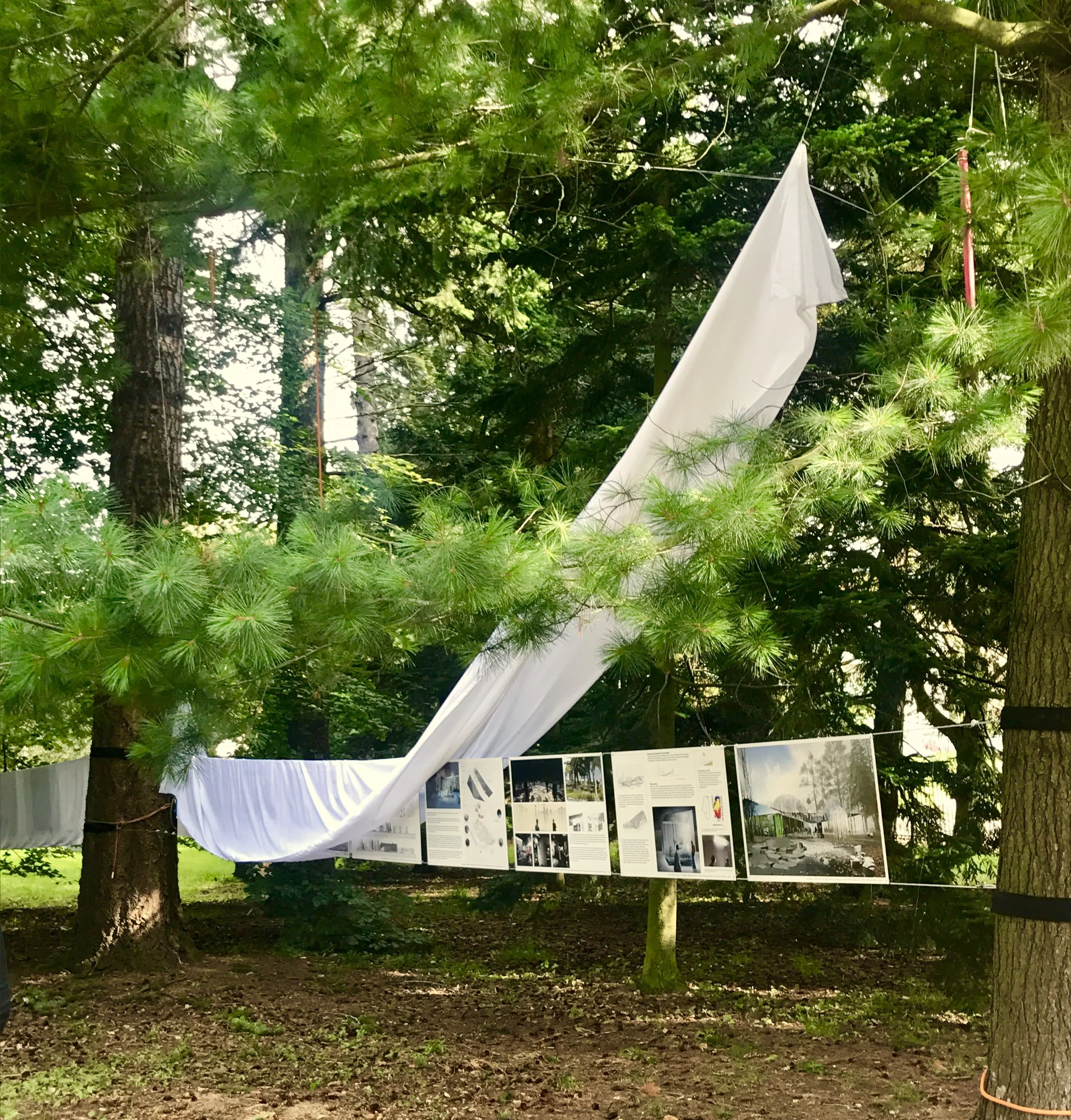 FullSizeRender 6.jpg