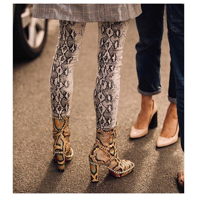 Here is a little gem caught by @garconjon and posted by @fashioninpills from #PFW Thank you! Snake on snake felt aggressive, but turned out ok! 🐍
