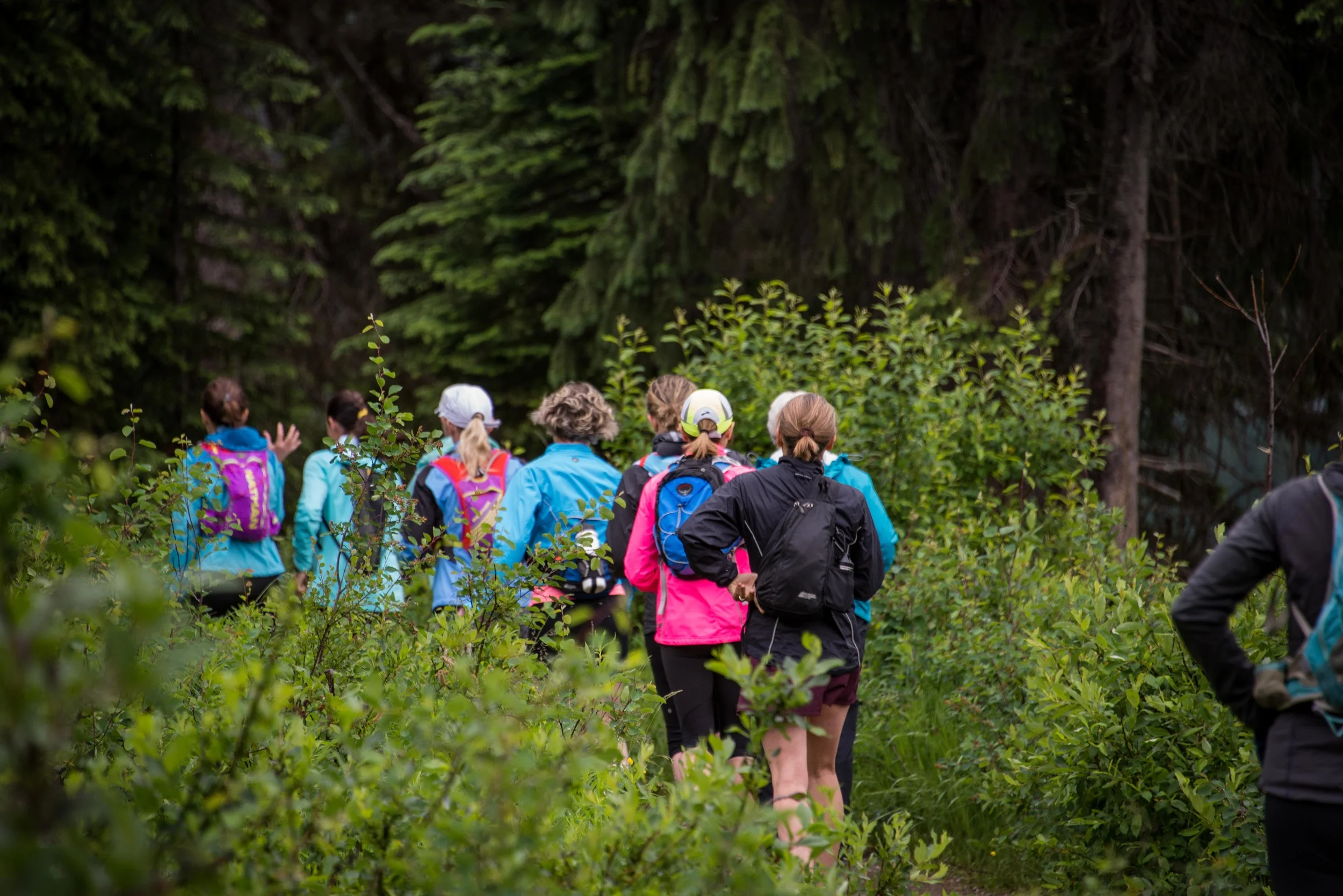 running-yoga-retreat-lush-acomadation-golden-emerald-lake-lodge-69.jpg