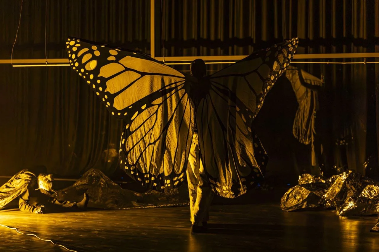 IMAGE 2024-03-13 13:00:45.jpg