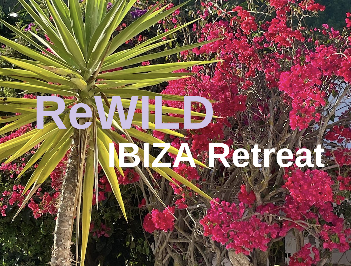 IBIZA RETREAT