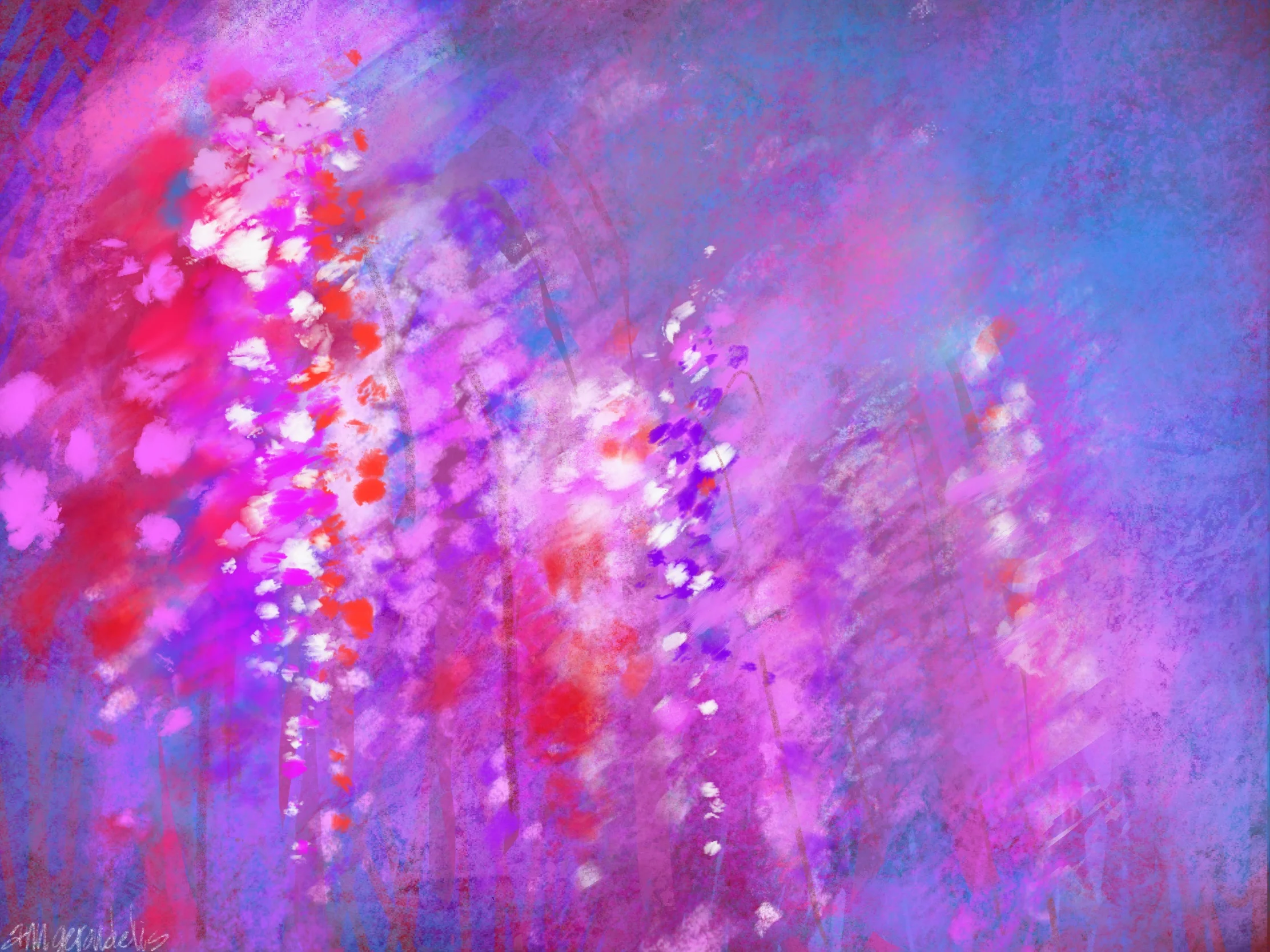 Cherry_Blossoms.jpg
