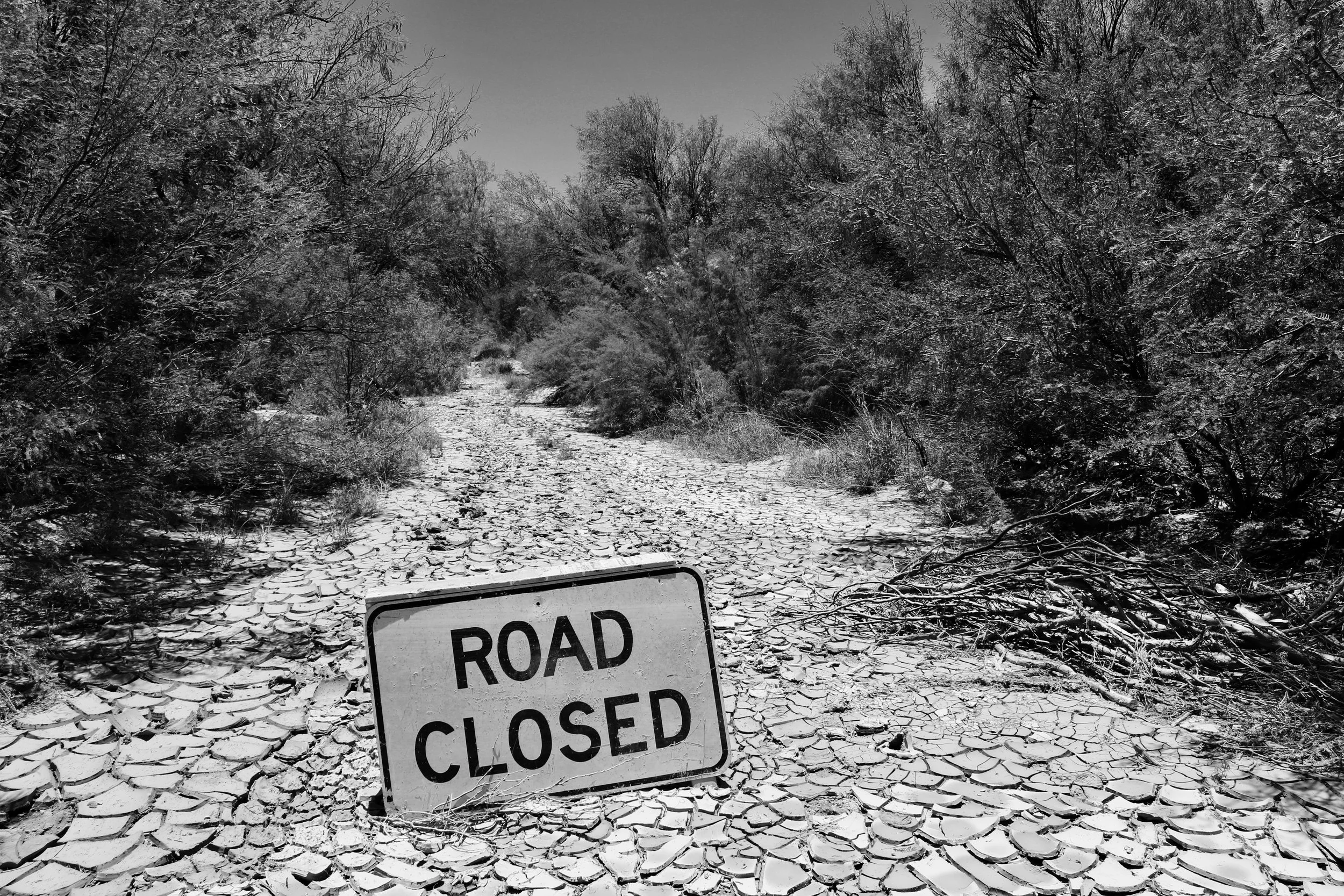 Days 12-21: So close, so not far