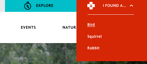 Header States.png