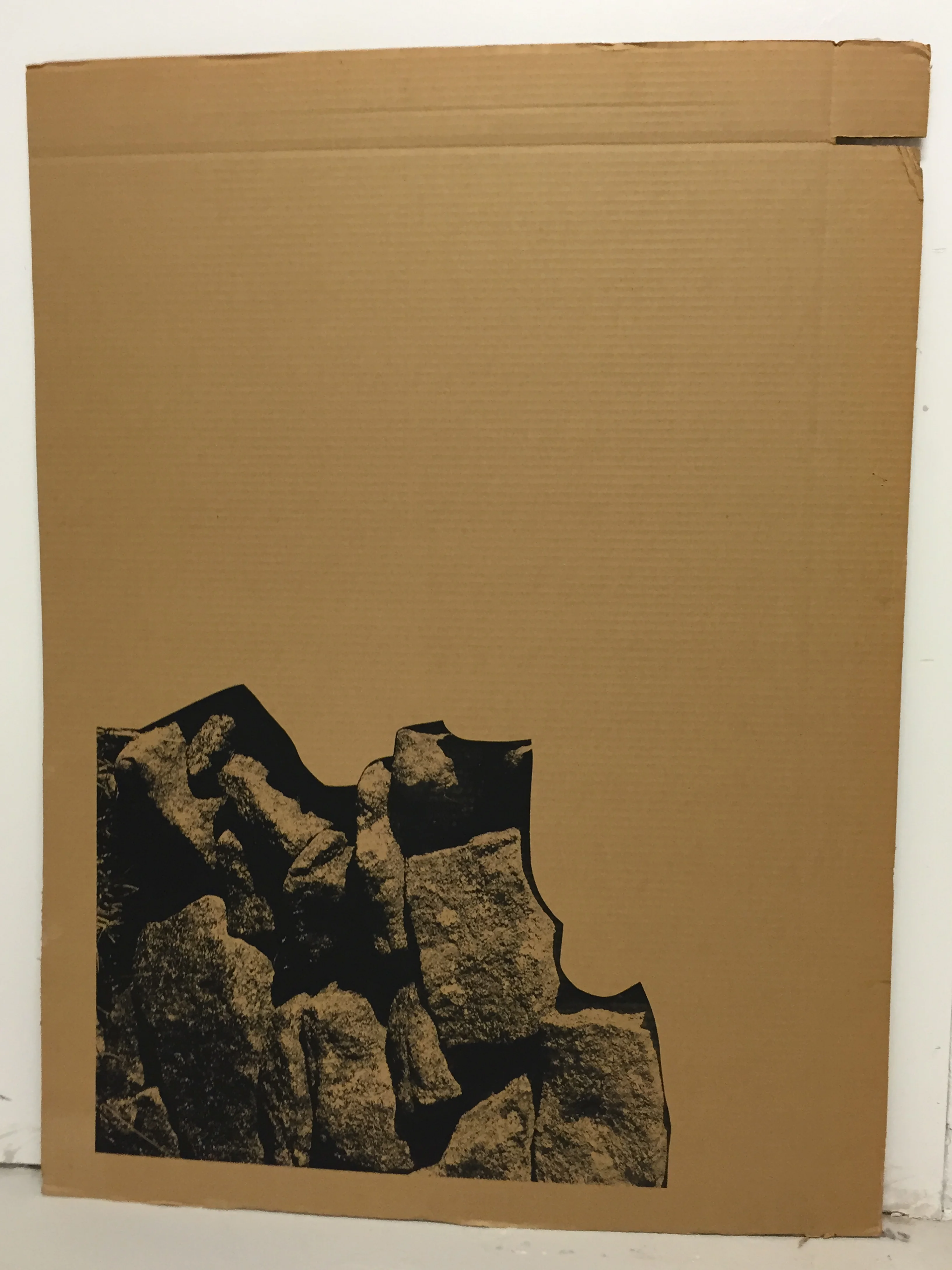  screen print on cardboard. 39 3/4 in. x 30 in. 2014. 