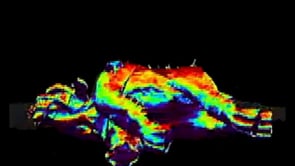 Giantology: Underwater Scan