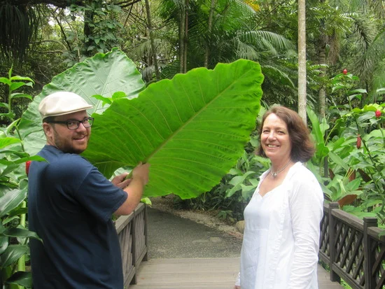 1.1300697661.tgri-leaf.jpg