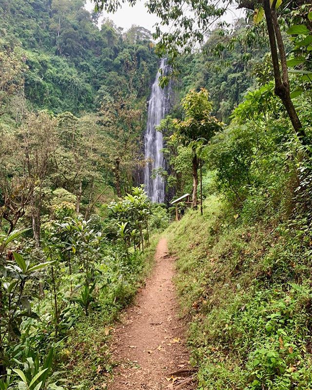 On the last day in Tanzania, we hiked to Materuni waterfall. #tanzania #materuni #waterfall