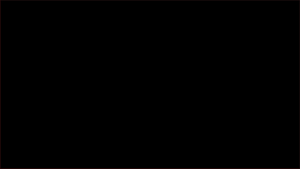 TheAuxiliary_Slide18.gif