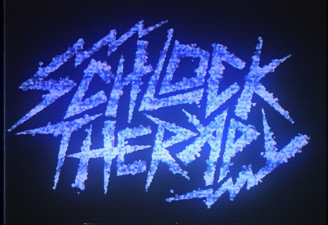SchlockTherapy_V12.jpg