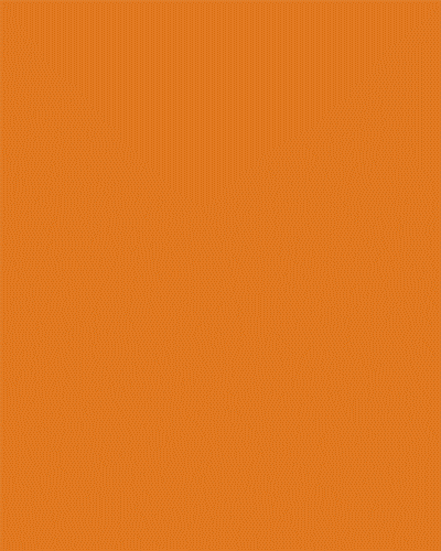 EFOC_Social_1350x1080_1Day.gif