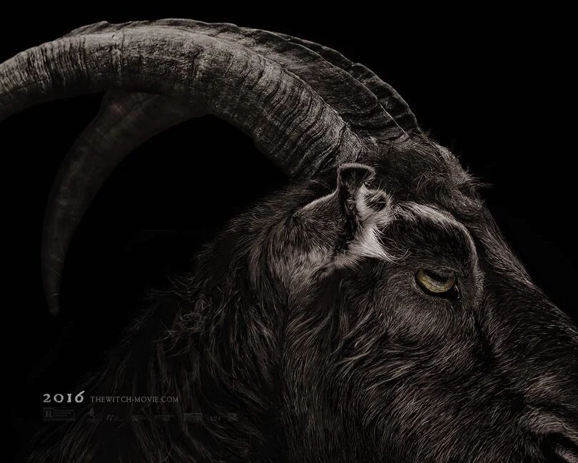 the-witch-poster.jpeg