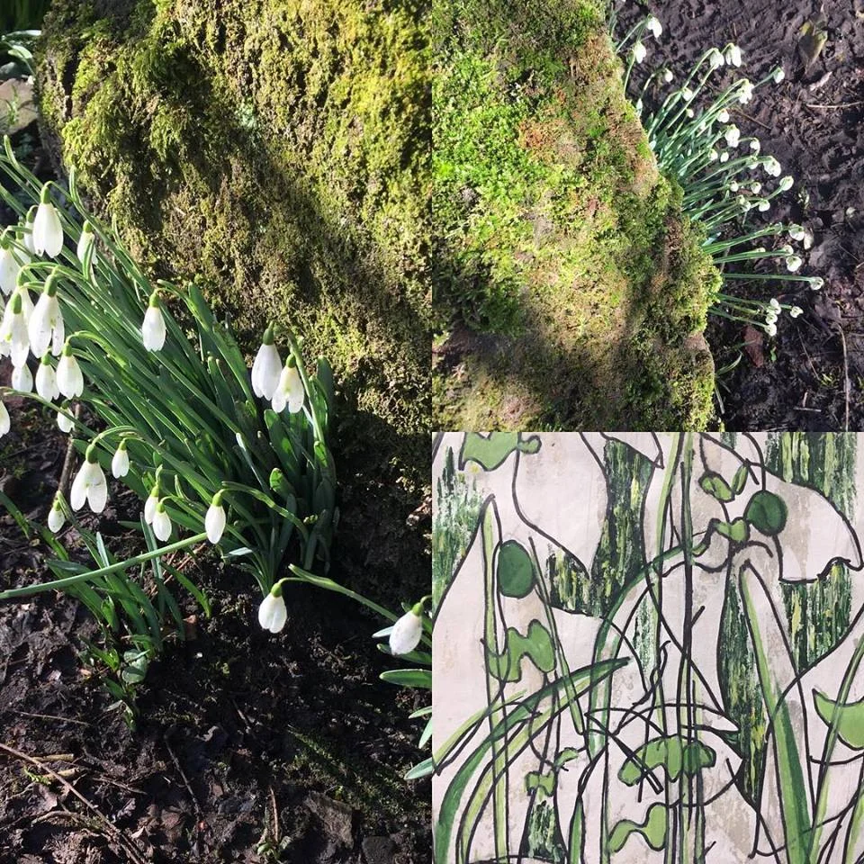 Snowdrops and a detail of my 2018 painting … what will I do this year?