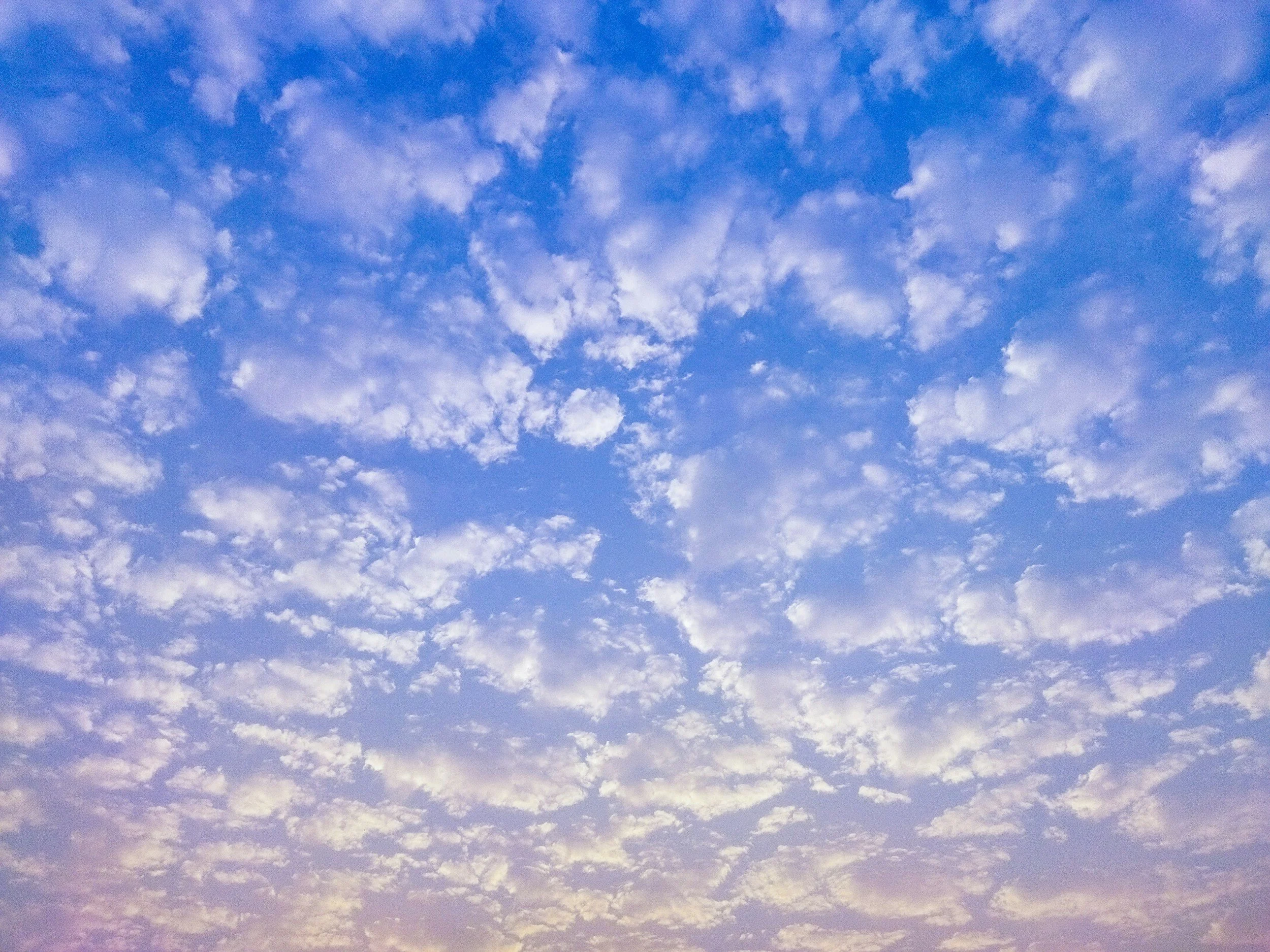 unsplash-image-UbK_gHvm3rg.jpg
