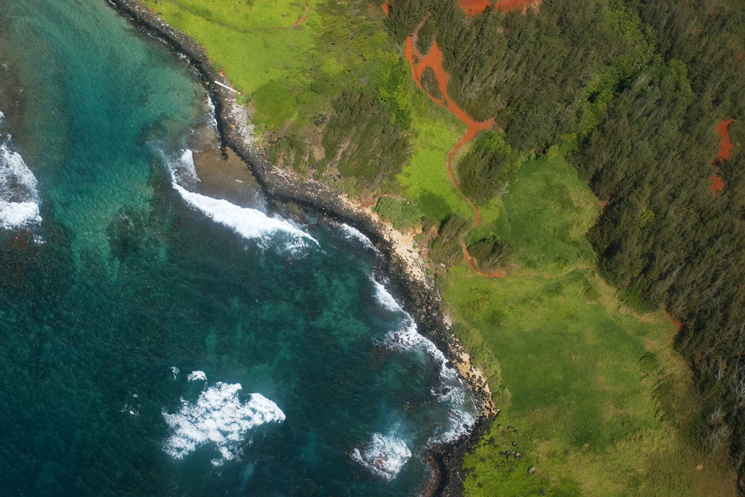 hawaii.jpg