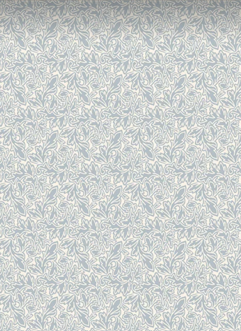 Feuille 4905.png