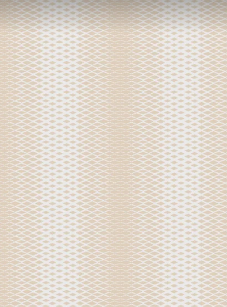 Lattice 3501.png
