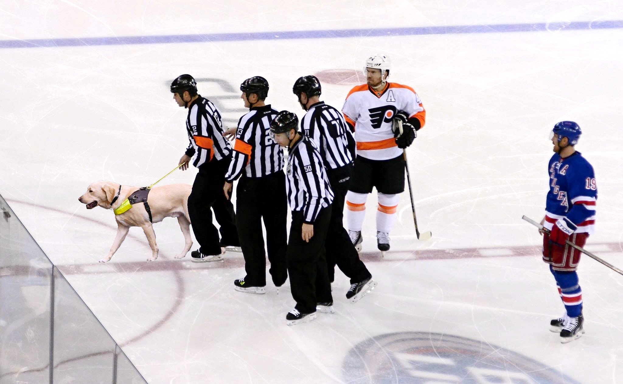 Blind Hockey Referee - The Goal That Wasn´t 