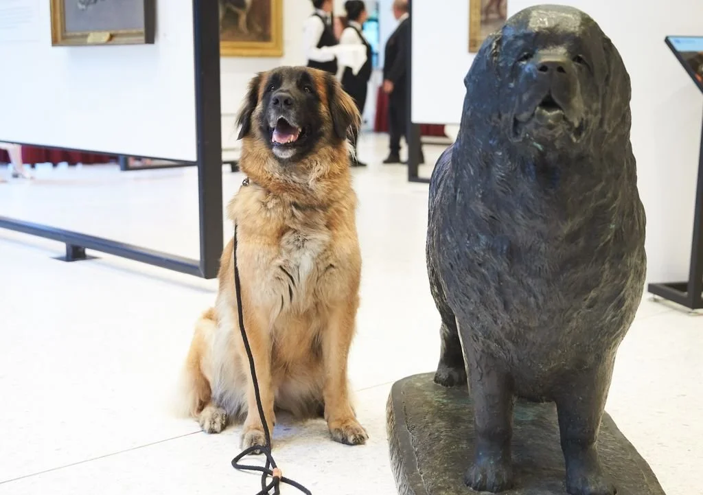 AKC Museum of the dog