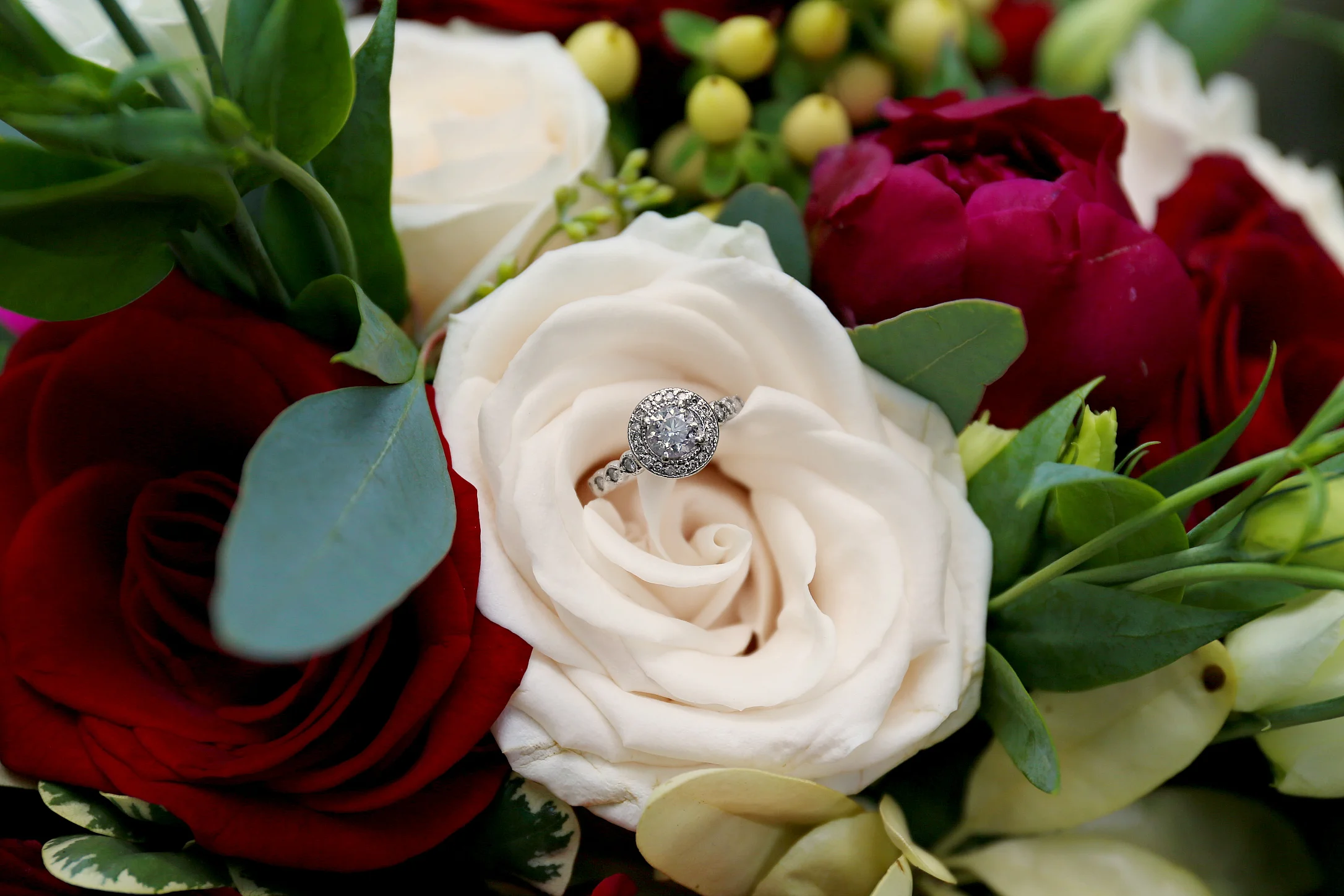 Ring1.jpg