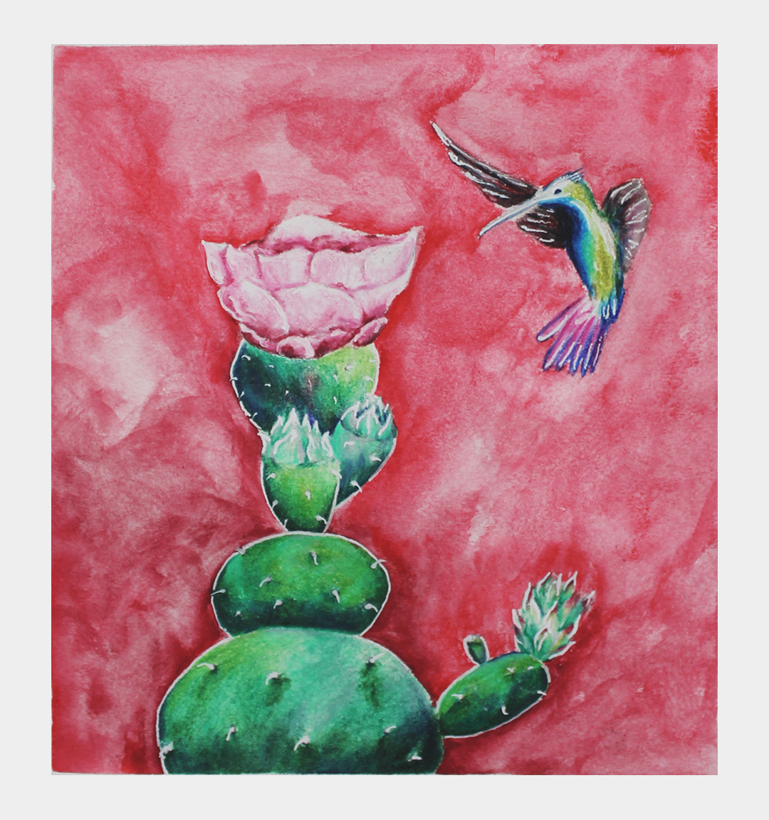 cactus.jpg