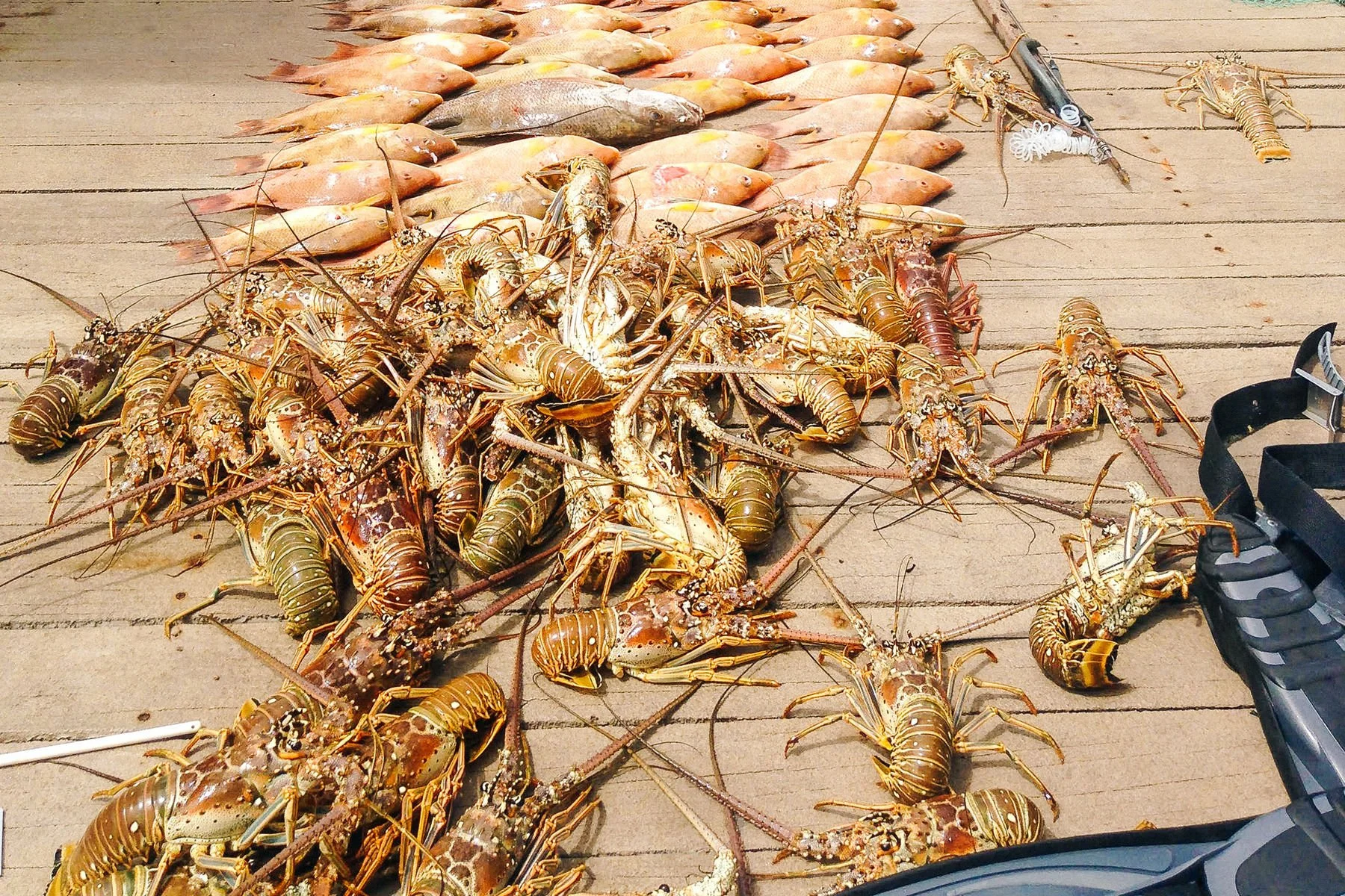  If lobster is on the menu, cook’ed super-slow and with lots of butter. The locals’ tip is to get garlic bread at the dollar store, scrape of the butter, and use it as your dipping sauce for the lobster once fully cooked. 