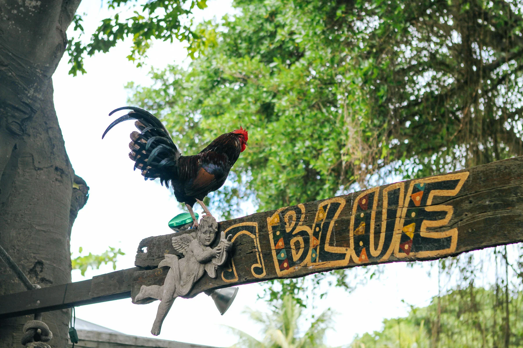   BLUE HEAVEN ,&nbsp; 729 Thomas Street  If you’ve got a hearty appetite and a hangover to beat, we recommend doing so &nbsp;1) with a mimosa in hand, and &nbsp;2) at Blue Heaven, where ping pong and live music make the usually long wait times fly by