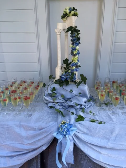 Open for Rentals and Tours-by-appointment