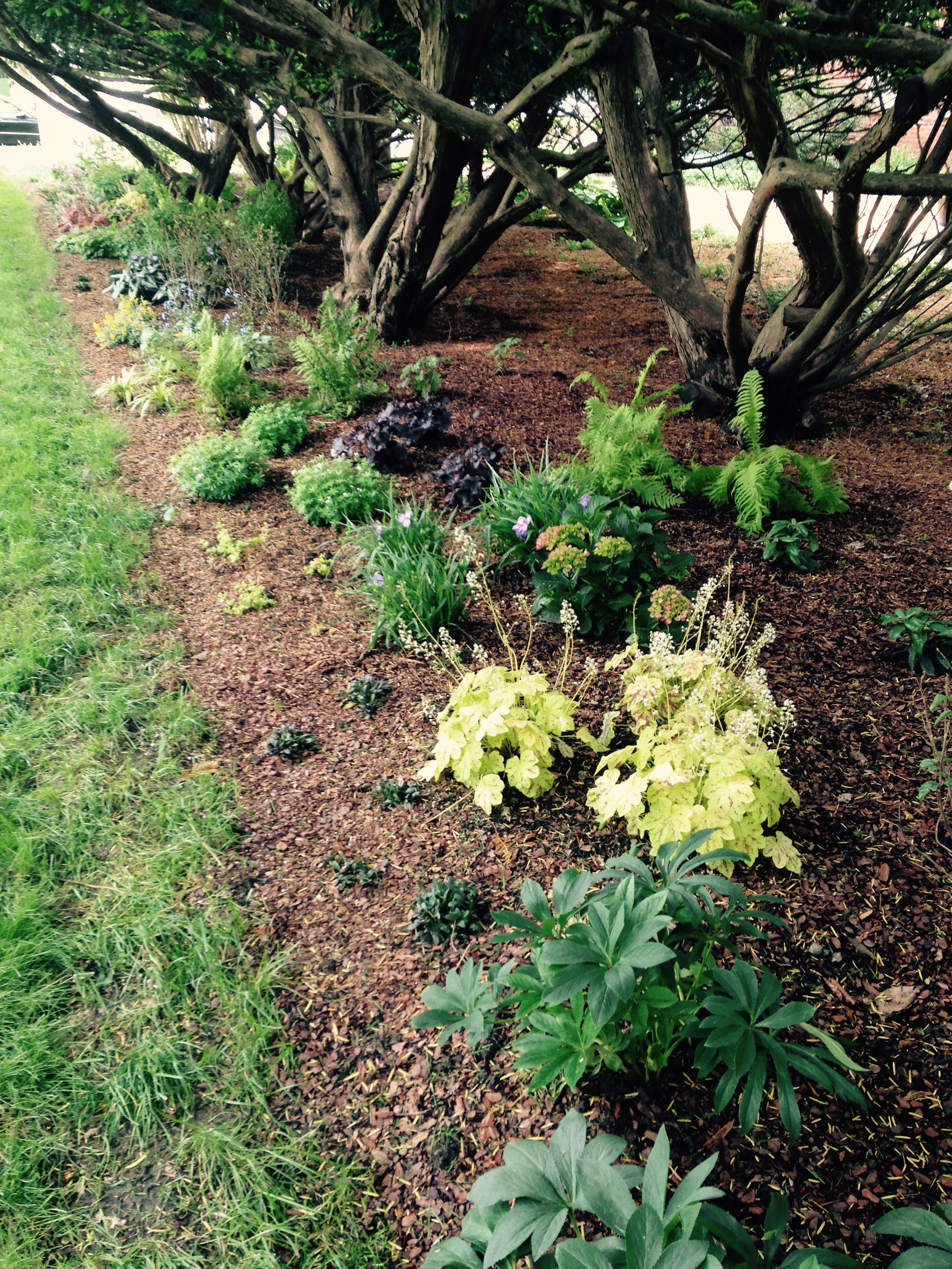 How Our Garden Grows
