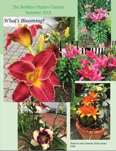 What's Blooming?