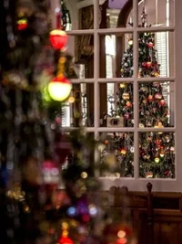The 50’s tree in the Octagon room at the Robbins Hunter Museum.